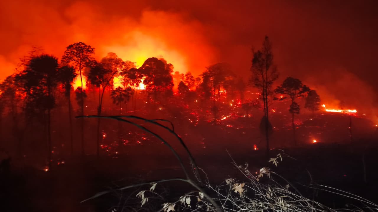Lahan 172 Konsesi Terbakar di Kaltim, Koalisi Sipil Soroti Sanksi Pemerintah