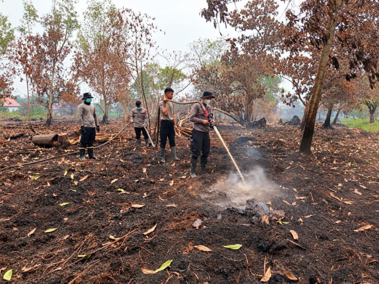 "Karhutla melahap 11 hektare lahan di empat titik Kecamatan Sungai Raya Kubu Raya, polisi lakukan pendinginan bara serta selidiki pemilik lahan."