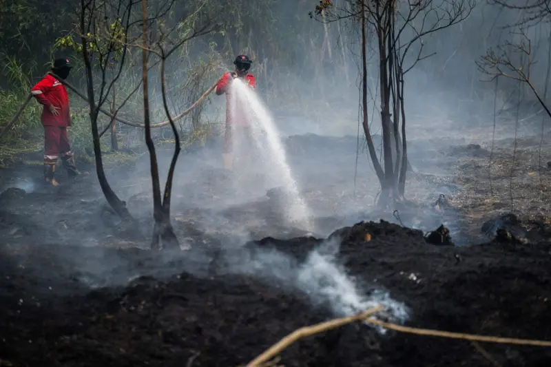 Hanguskan 1.263 Hektare Lahan, Kabut Asap Karhutla Kalsel Masuk Level Sangat Tidak Sehat