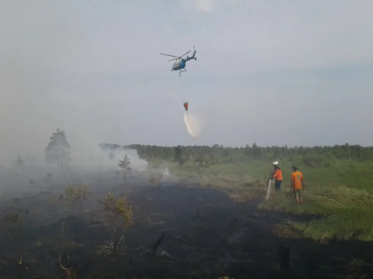 Helikopter water bombing menjatuhkan air di atas lahan gambut terbakar, dua petugas memadamkan api di darat