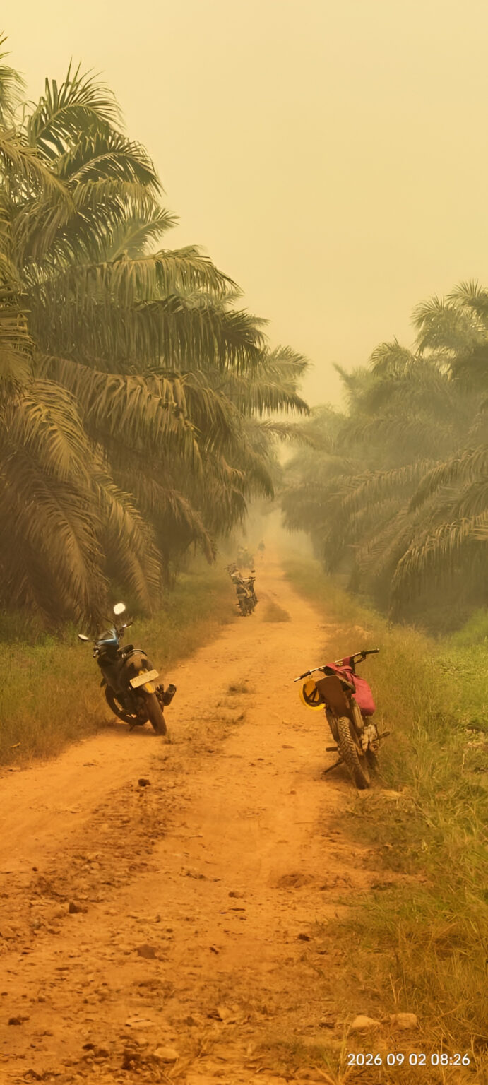 "Link-AR Borneo soroti ketimpangan penguasaan lahan korporasi sebagai akar bencana karhutla berulang di Kalbar dan desak evaluasi izin konsesi di titik api."