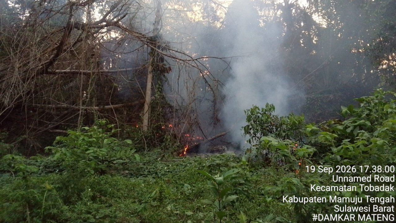 Karhutla Kepung 5 Wilayah RI, Terparah 60 Hektare di Minahasa Utara