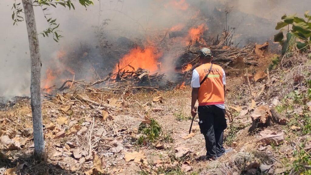 Karhutla Masih Dominasi Laporan Bencana Nasional, Sejumlah Daerah Terbakar