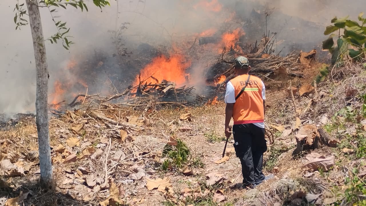 Karhutla Masih Dominasi Laporan Bencana Nasional, Sejumlah Daerah Terbakar