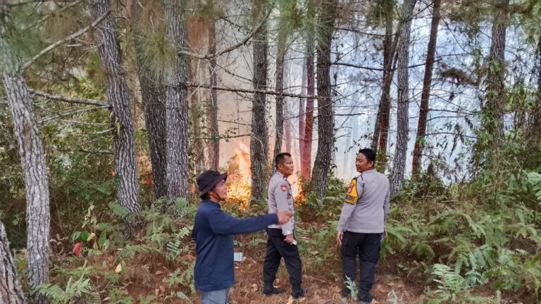 Petugas gabungan dan BPBD Tana Toraja mengecek lokasi kebakaran hutan di Desa Lembang Poton. (Dok. BNPB)