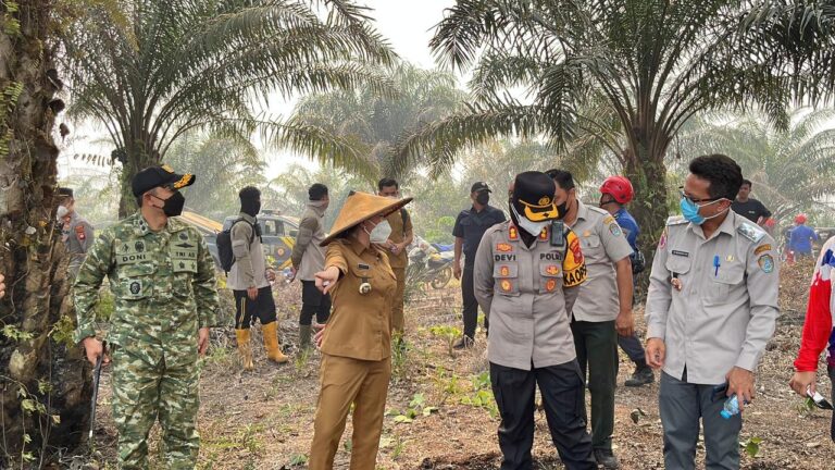 "Kebakaran lahan seluas 50 hektare terjang perbukitan Dusun Pampang Sengah Temila, Kapolres dan Bupati Landak turun langsung pimpin pemadaman titik api."