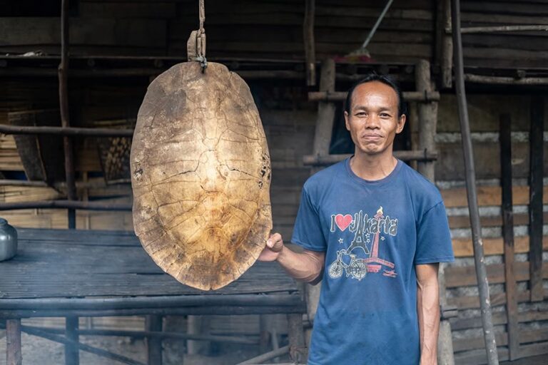 "Berbobot hingga 50 kg, kura-kura byuku endemik Borneo menyandang status kritis IUCN akibat siklus reproduksi lambat dan ancaman perburuan liar."