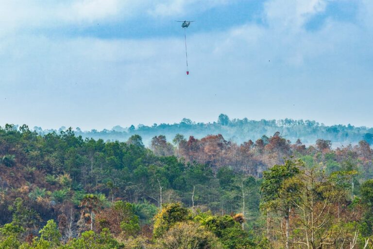 "Operasi water bombing helikopter Caracal TNI AU berhasil padamkan api di Tol Balsam hingga Bukit Tengkorak, titik panas di IKN dipastikan berkurang."