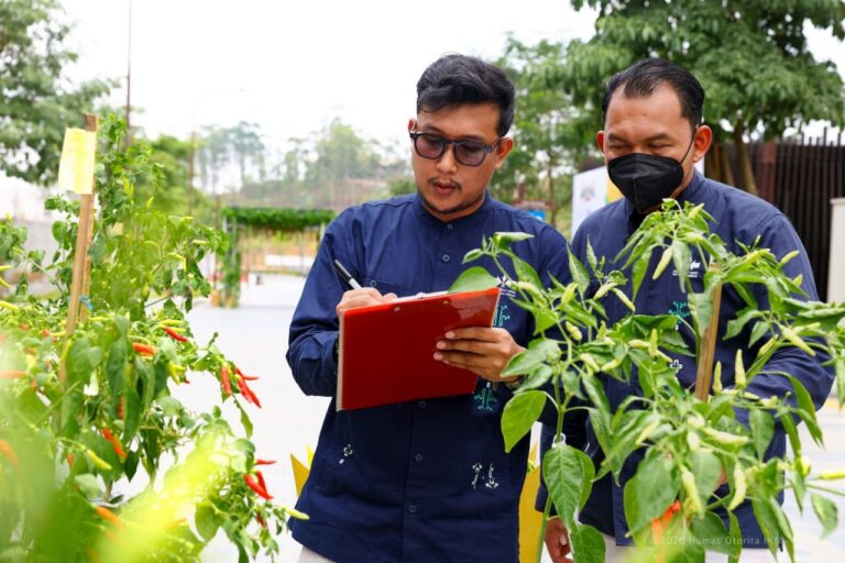 "Otorita IKN dan BI gelar Festival Cabai Nusantara 2026 di KIPP untuk kendalikan inflasi pangan; pertemukan petani dengan offtaker serta dorong urban farming."