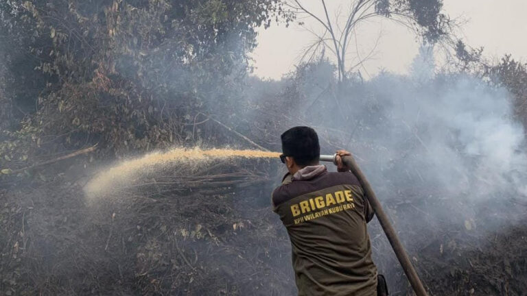 Petugas Brigade Dalkarhutla KPH Wilayah Kubu Raya menyemprotkan air ke titik api karhutla di Hutan Lindung Sungai Tebedak. (Dok. HO/Nusantara Post)