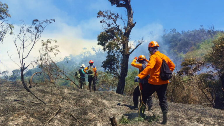 Tim petugas pemadam karhutla berseragam oranye berjalan melintasi bukit dan lahan bekas terbakar yang masih berasap. (Dok. BNPB)
