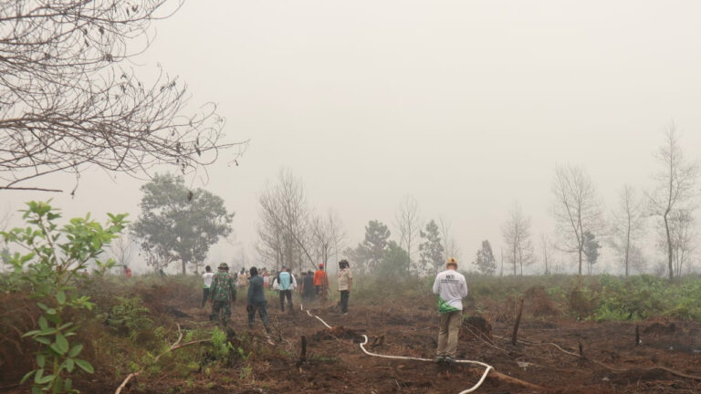 Petugas dan tim gabungan membentangkan selang air di lahan bekas kebakaran hutan. (Dok. HO/Nusantara Post)