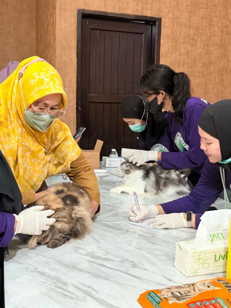 Petugas memberikan vaksin rabies gratis kepada kucing peliharaan di Samarinda