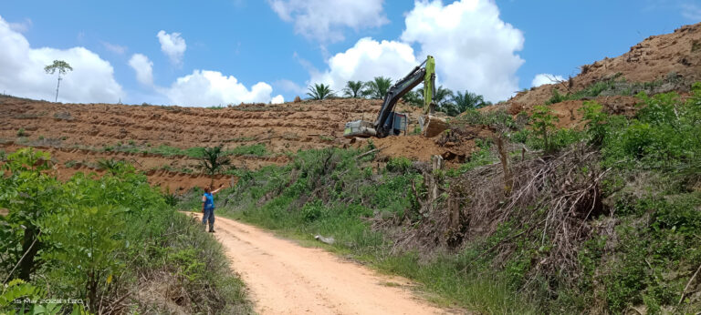 "Koalisi sipil desak pemerintah selesaikan konflik agraria di Rakawuta Sultra dan Muara Tae Kaltim, hentikan penggusuran lahan adat dan buka transparansi HGU."