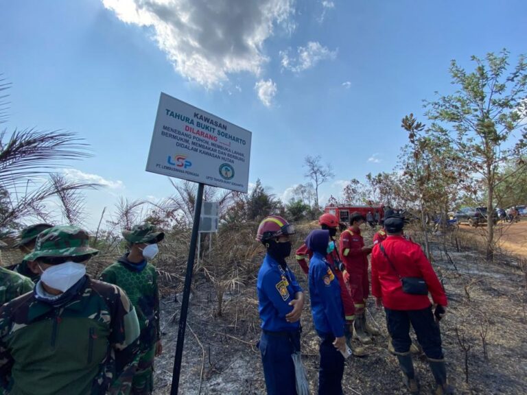 "Polda Kaltim tetapkan 16 tersangka karhutla yang hanguskan 2.293 hektare lahan, sementara Kemenhut bekukan izin operasi tiga korporasi pemegang PBPH."