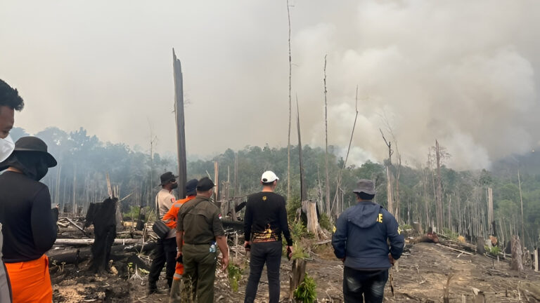 "Polres Berau selidiki temuan tanaman sawit di dekat area kebakaran hutan Kecamatan Segah, polisi periksa pembuat video serta koordinasi ke Dinas Kehutanan."