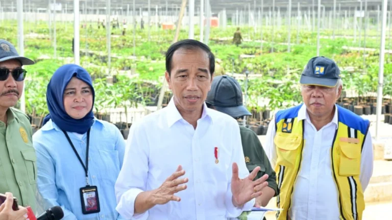 Presiden Joko Widodo didampingi pejabat negara memberikan keterangan pers saat meninjau lokasi Persemaian Mentawir di IKN. (Dok. presidenri.go.id)