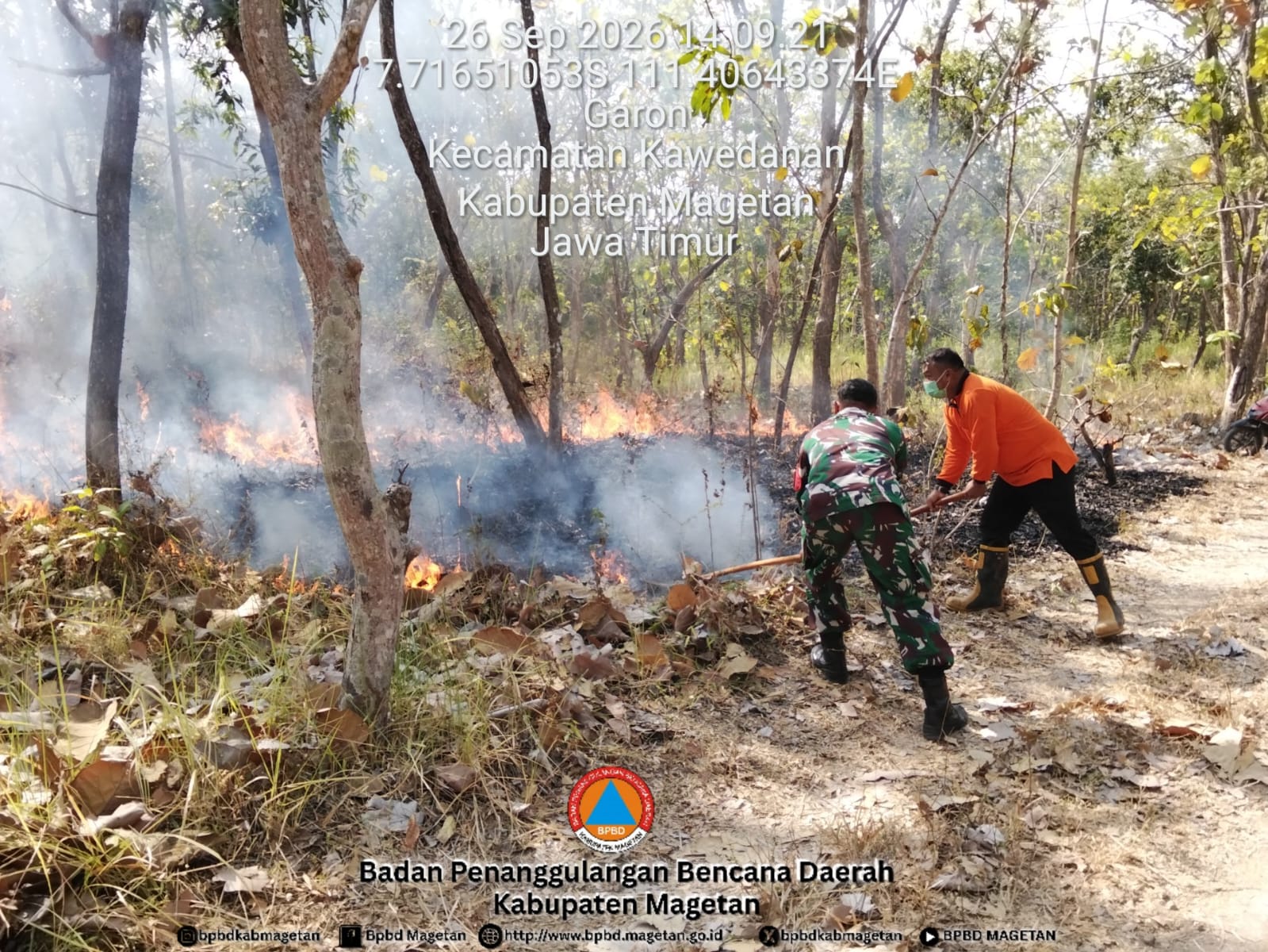 Puluhan Hektare Hangus di Empat Provinsi, BNPB Rilis Sebaran Kebakaran Lahan Terbaru