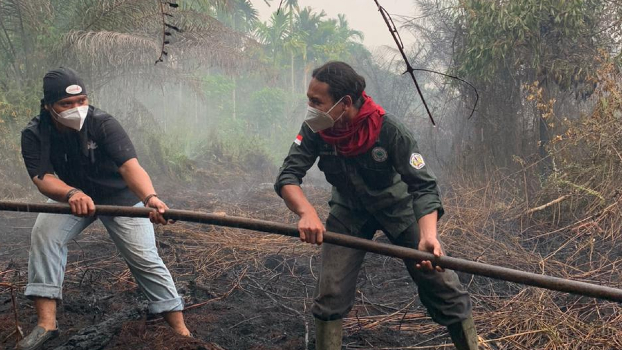 Cegah Api Gambut Dekati Permukiman, Mahasiswa Fahutan Untan Berjibaku Padamkan Karhutla di Kuala Dua