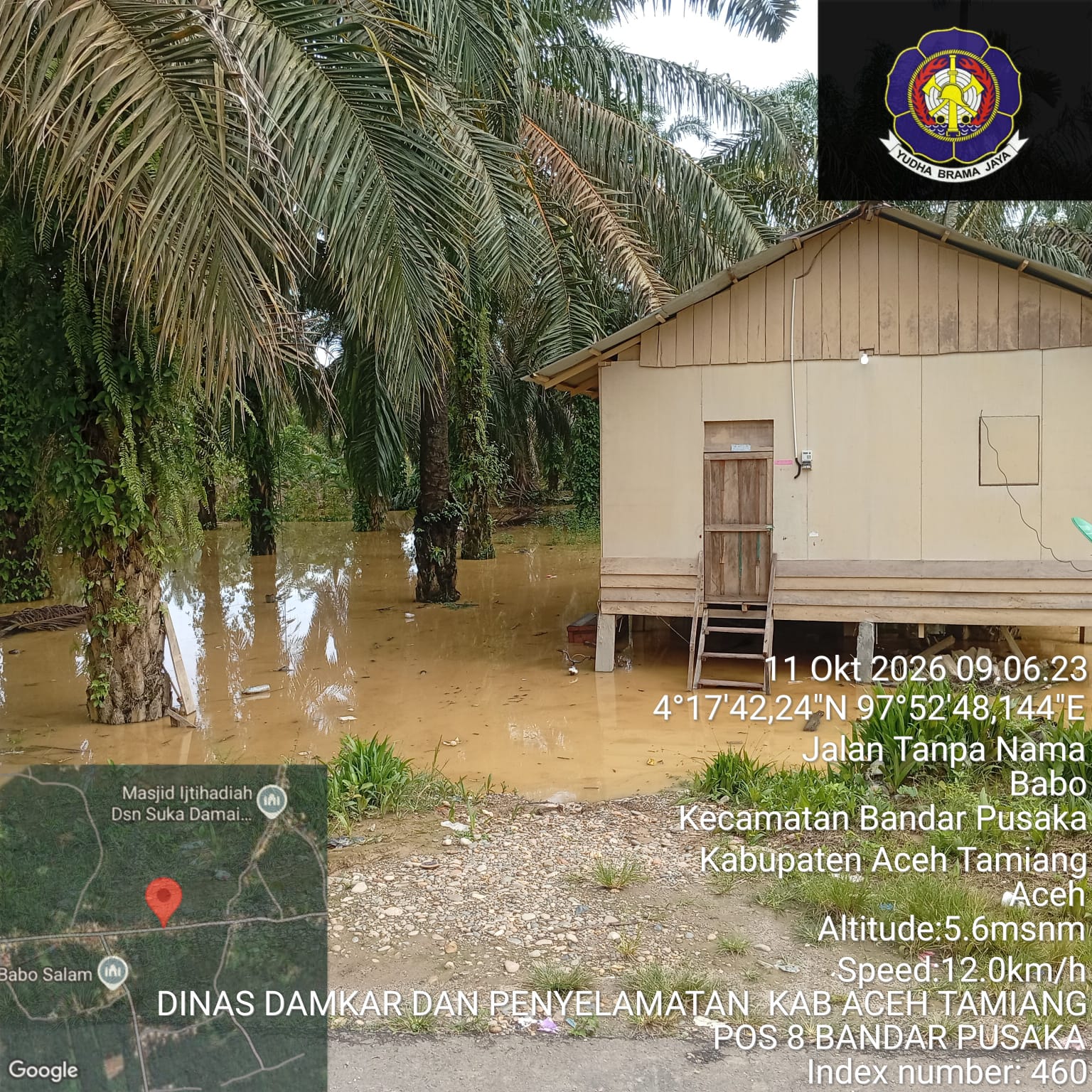 Banjir setinggi lutut merendam kebun sawit dan halaman rumah panggung di Babo, Kecamatan Bandar Pusaka, Aceh Tamiang