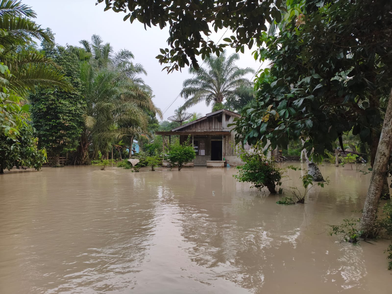 BNPB Rangkum Penanganan Bencana Nasional: Karhutla, Kekeringan, dan Banjir di Tiga Provinsi
