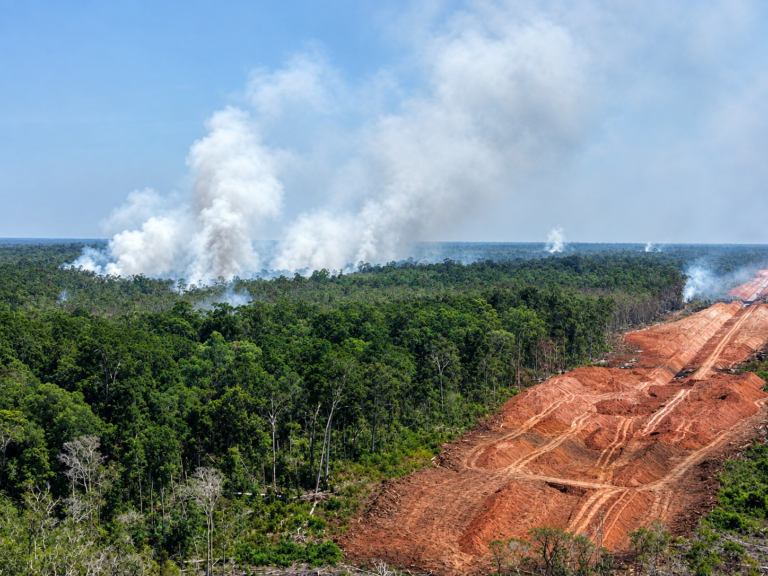 Potret udara memperlihatkan alih fungsi lahan hutan dengan jalur tanah merah serta kepulan asap kebakaran di kawasan konsesi.