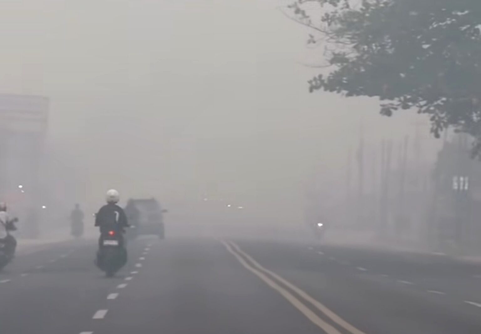 Jekan Raya dan Pahandut Paling Butuh Intervensi Kesehatan Saat Kabut Asap