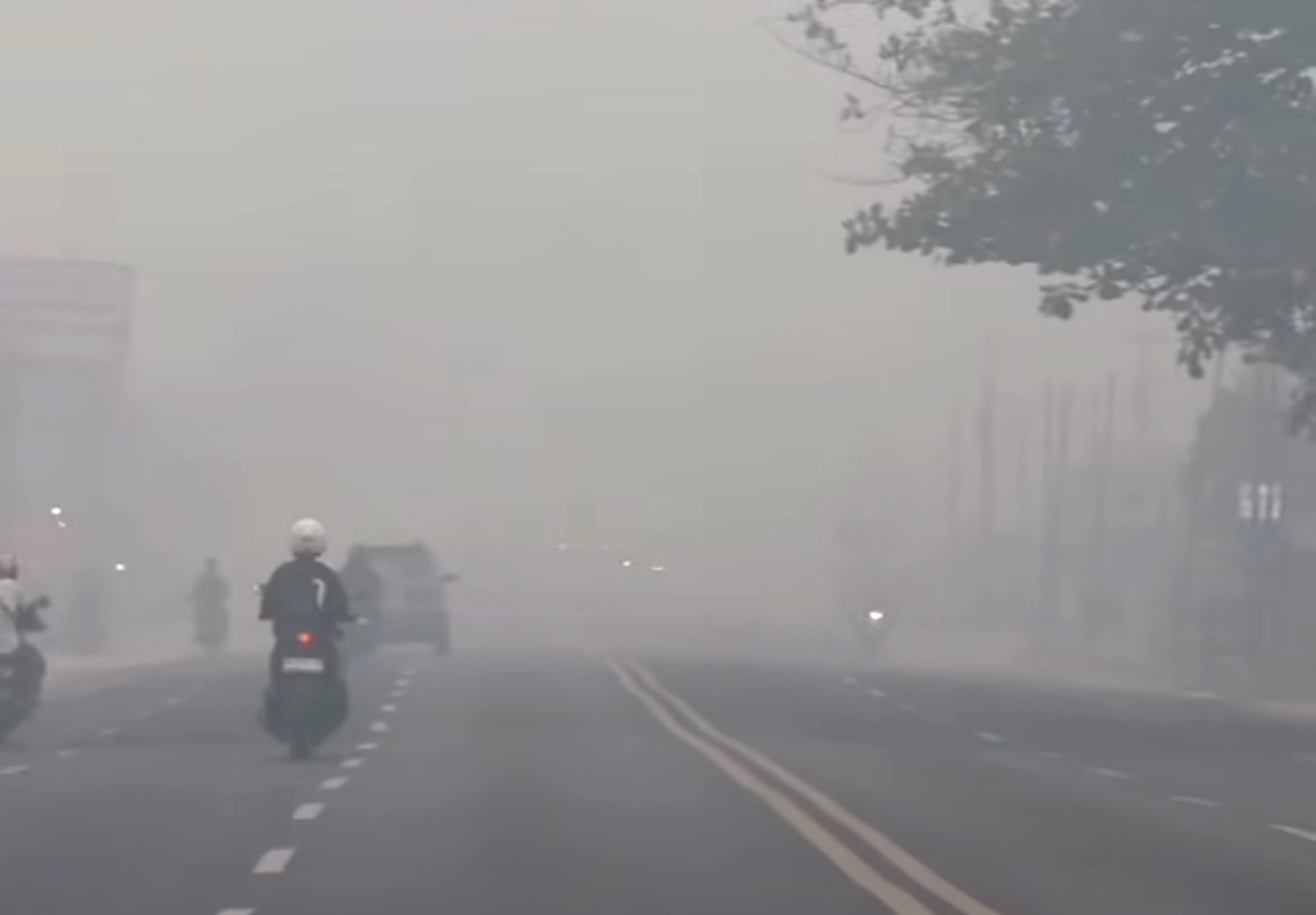 Jekan Raya dan Pahandut Paling Butuh Intervensi Kesehatan Saat Kabut Asap