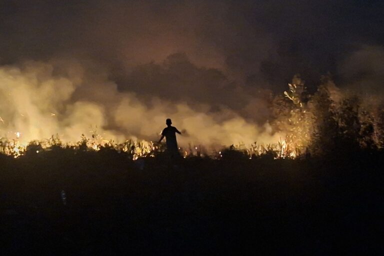 "BNPB mencatat luas lahan terbakar di tiga provinsi Kalimantan mencapai 18.973 hektar dengan Kalteng sebagai wilayah terdampak paling luas."