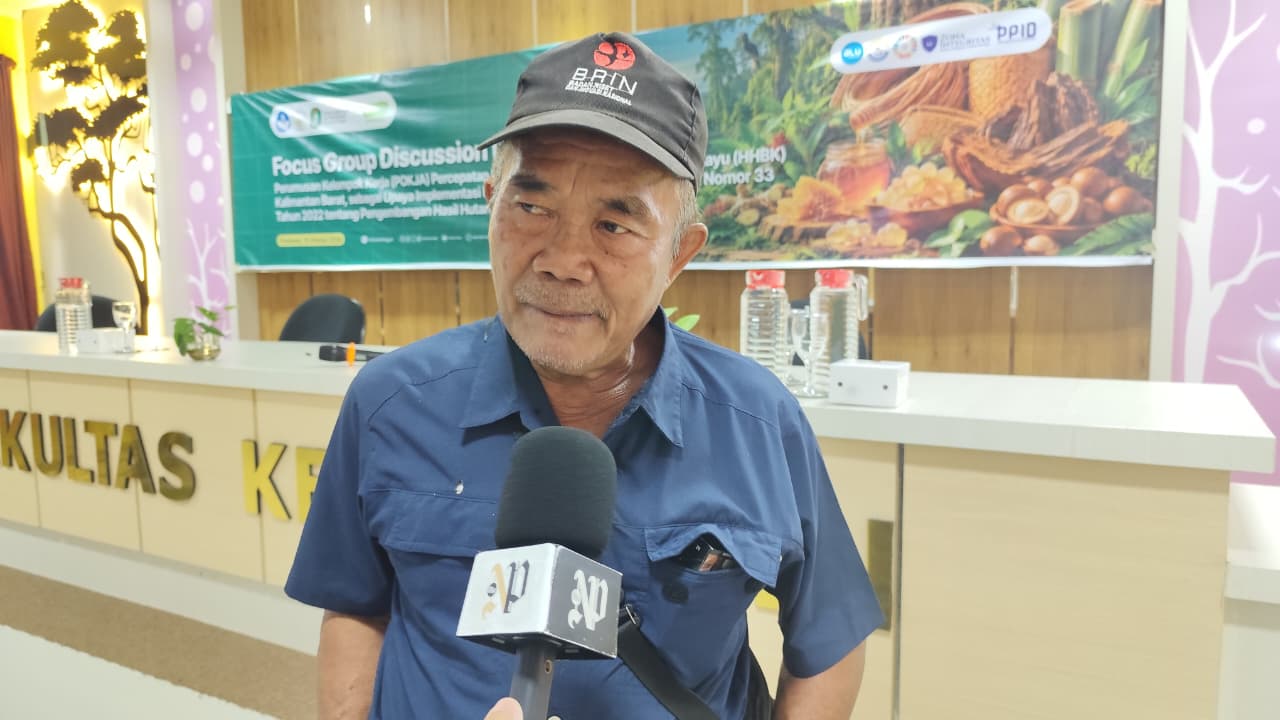 Perwakilan Masyarakat Adat Desak Kepastian Regulasi Tata Niaga Hasil Hutan Bukan Kayu
