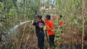 Petugas tim gabungan menyemprotkan air untuk memadamkan kebakaran lahan di Desa Padang Baru, Bangka Tengah. (Dok. BNPB)