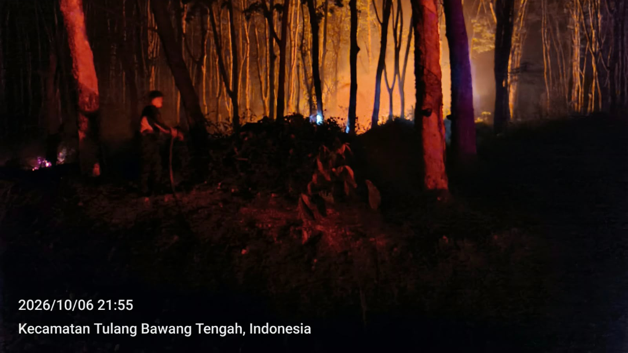 Update BNPB: Karhutla Masih Mendominasi Bencana di Berbagai Wilayah Indonesia