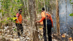 Tim gabungan sedang melakukan upaya pemadaman kebakaran lahan di area hutan Desa Ngadirenggo, Kabupaten Trenggalek, Jawa Timur. (Dok. BNPB)