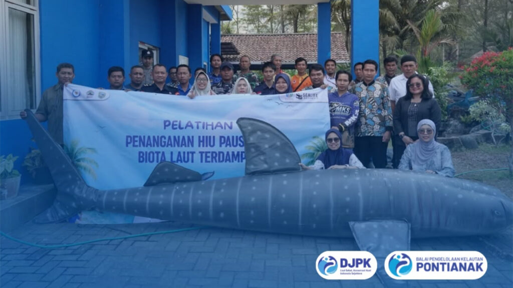 Perkuat Kesiapsiagaan Evakuasi, Balai PK Pontianak Ikuti Pelatihan Penanganan Hiu Paus Terdampar di Kebumen