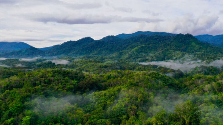Pemandangan udara hamparan tutupan hutan tropis yang lebat dan hijau dengan kabut di kawasan perbukitan. (Dok. WALHI Kalbar)