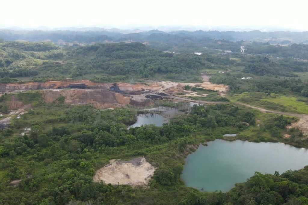 WALHI dan Auriga Sebut Insentif Karbon FCPF-CF Belum Mampu Hentikan Deforestasi Kaltim