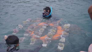 Penyelam membawa rak media penanaman bibit karang hias ke dalam perairan laut Sukarame. (Dok. HO/Nusantara Post)
